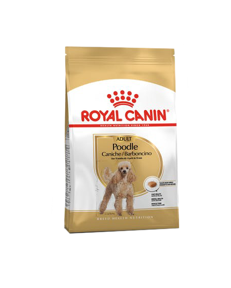Royal Canin Poodle Adulto