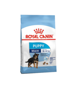 Royal Canin Maxi Puppy