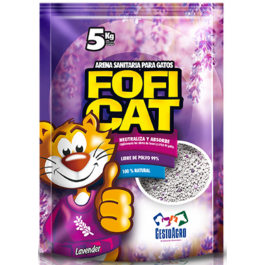 Arena FofiCat